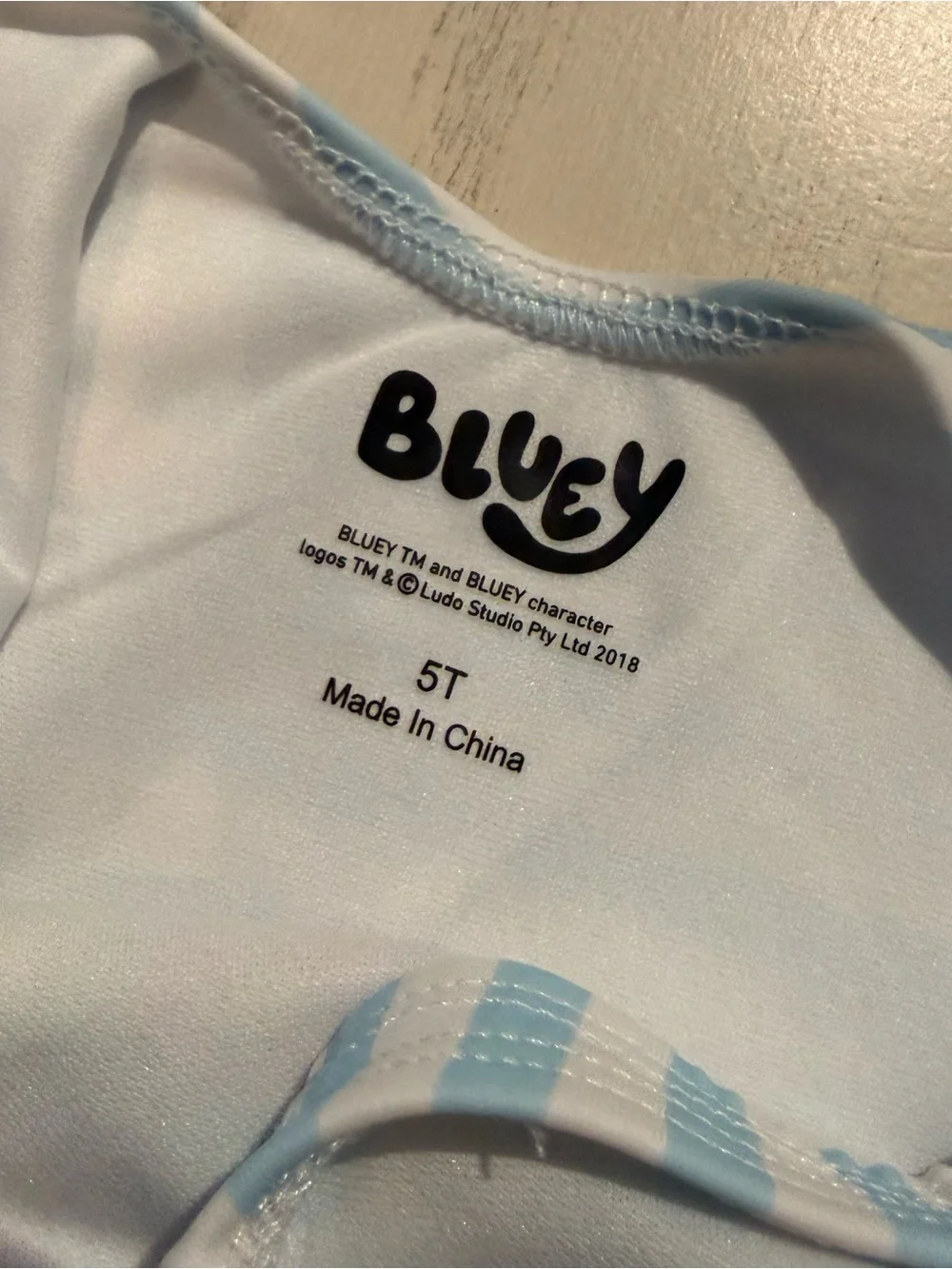 Bluey toddler girls